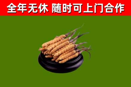 盂市回收冬虫夏草