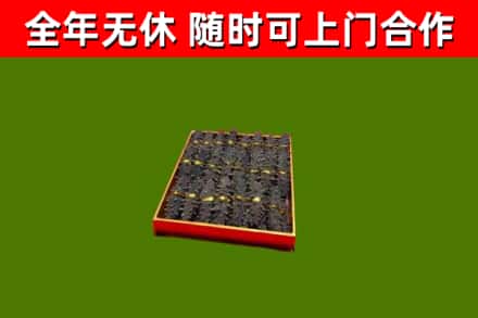 盂市回收海参